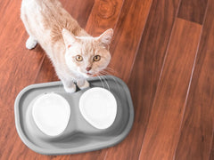 Double Bowl Low Pet Feeding System - WeatherTech