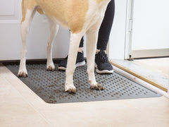 Indoor Mat from WeatherTech