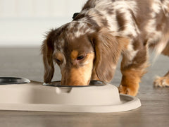 Double Bowl Low Pet Feeding System - WeatherTech