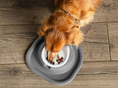 Single Bowl Low Pet Feeding System - WeatherTech