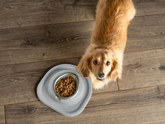 Single Bowl Low Pet Feeding System - WeatherTech