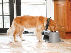 Additional Pet Bowls Feeding System - WeatherTech