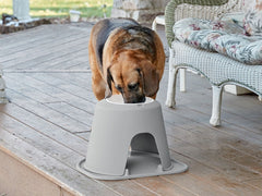 Single Dog Bowl Raised Feeding System - WeatherTech