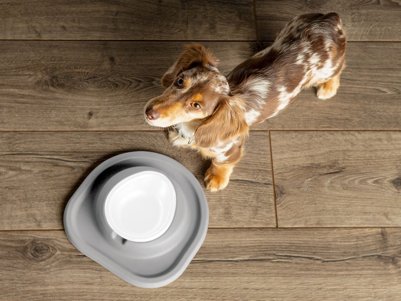 Single Bowl Low Pet Feeding System - WeatherTech