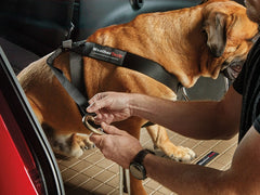 Pet Safety Harness from WeatherTech #84PH3134BK